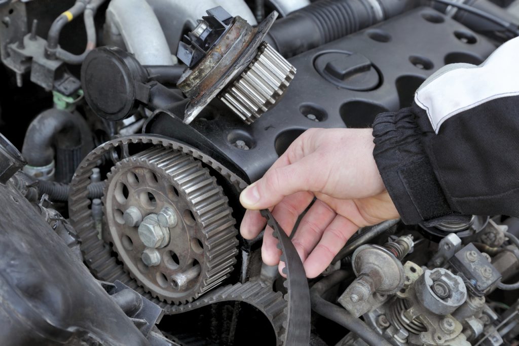 Import Auto Services Belts and Hoses for a wide variety of makes and models